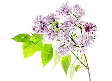 《最终幻想7：重生》之所以如此成功 是因为专为PS5开发